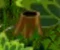 Kaliptus Stump