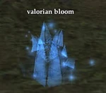 Valorian bloom.jpg
