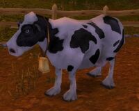Vaca