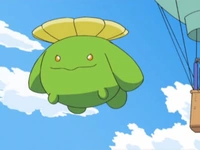 EP587 Skiploom (2)