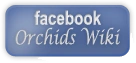 Facebook Orchids wiki