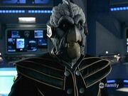 Commander Birdie