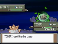 DPHierba lazo