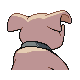 Granbull espalda G4 variocolor