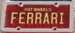 PnpFerrarYel