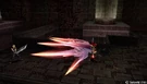Havoc Wing