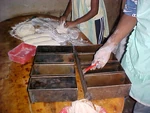 Zambia 5