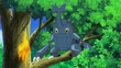 EP607 Heracross