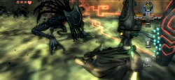 Shadow Beast Battle