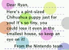 The Chihuahua letter