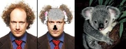 Zaltzwala