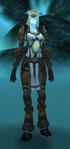 Freed Crusader