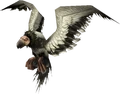 Arctic condor.png