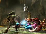 Link vs. Ook