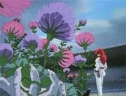 http://images2.wikia.nocookie.net/__cb20091017043428/yuyuhakusho/images/thumb/a/a8/Seeds.jpg/180px-Seeds.jpg