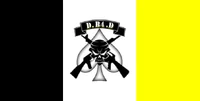 Db4dflag