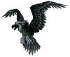 Raven