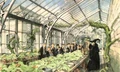 Herbology classroom (Concept artwork) 01.JPG