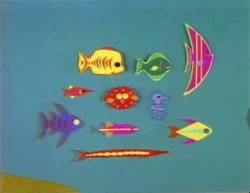 10fish