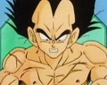 Vegeta77