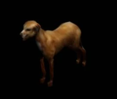 DogVanBuren