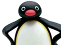 Pingu