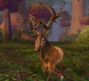 Wild Buck