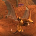 Young Pridewing.jpg