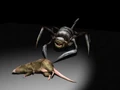 Radbug.png
