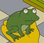 Bartjunior