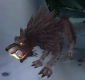 Gimorak.jpg