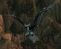 Fjord Crow.jpg