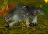 Diseased Young Wolf