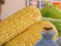 Episodio440e