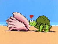 TurtleSeashell.jpg