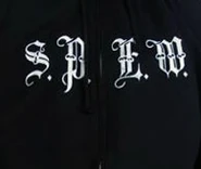 S.P.E.W. logo