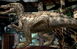 Suchomimus jup-582