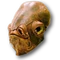 Fajok