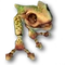 Állatok
