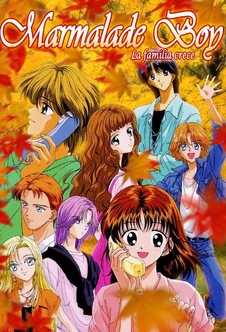 Marmalade boy