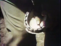 Film.horseshoe.jpg