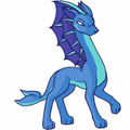 Kangur water.gif