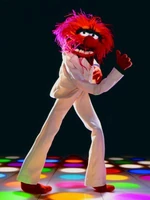 Animalsaturdaynightfever