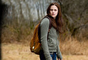 NewMoonStill10