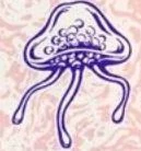 BR Jellyfish