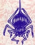 BR Spider