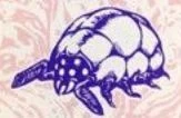BR Cave Snail