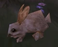 BrownRabbit.jpg