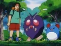 EP099 Tracey, Venonat y Marill.png