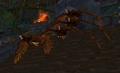 Amani Eagle.jpg
